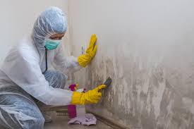 Reliable Owasso, OK Mold Removal Services Solutions